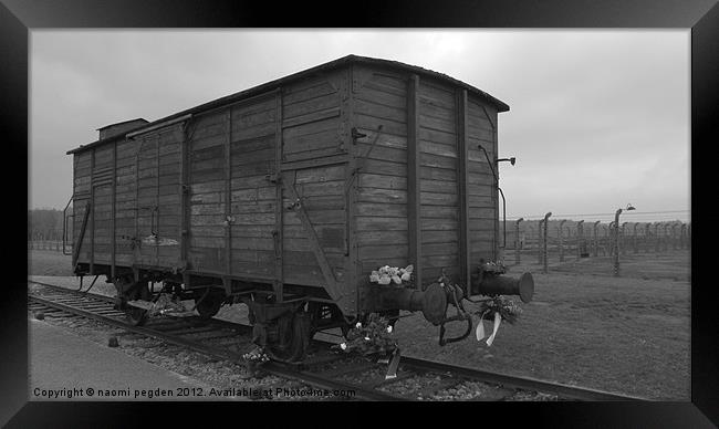 Cattle Car Transportation Framed Print by N C Photography