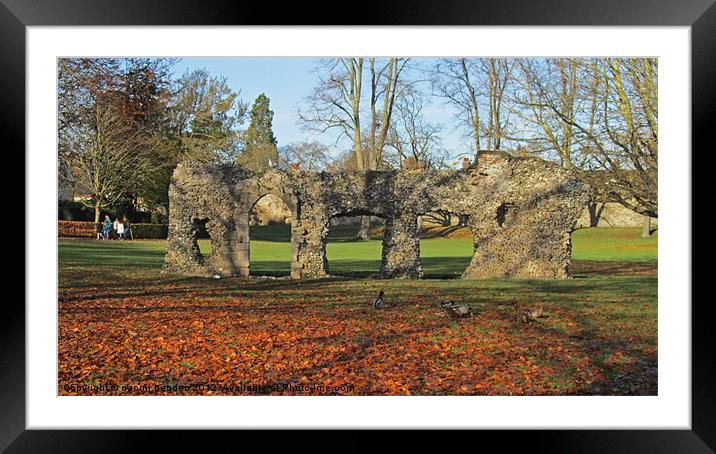Autumnal Ruins Framed Mounted Print by N C Photography