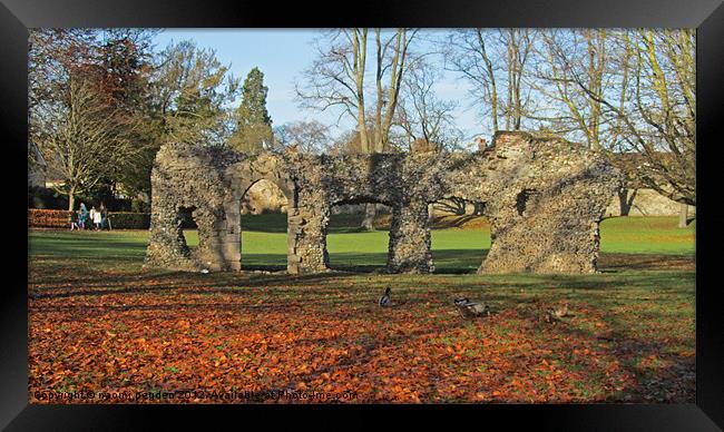 Autumnal Ruins Framed Print by N C Photography