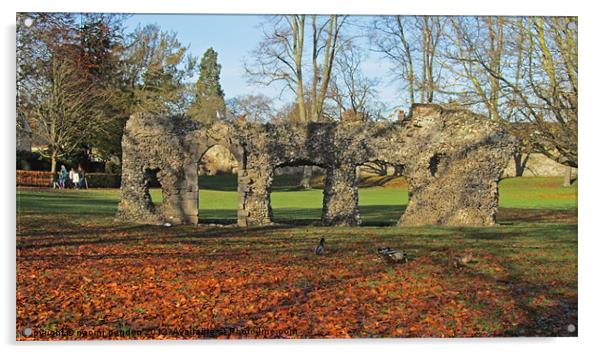 Autumnal Ruins Acrylic by N C Photography