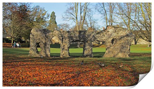 Autumnal Ruins Print by N C Photography