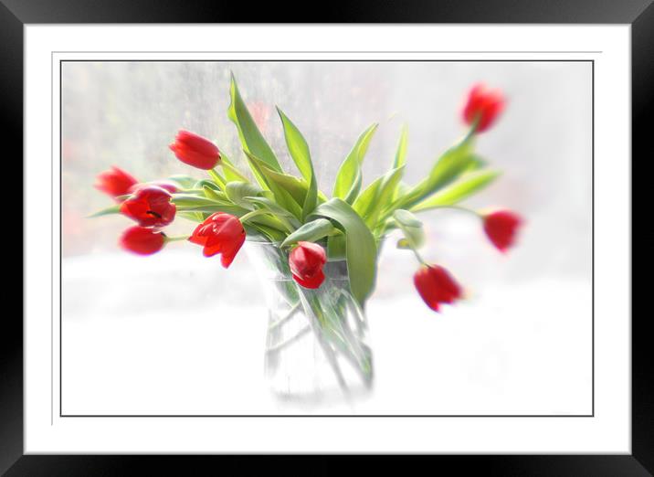 Red in Winter  Framed Mounted Print by Judy Stalus