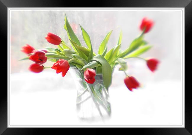 Red in Winter  Framed Print by Judy Stalus