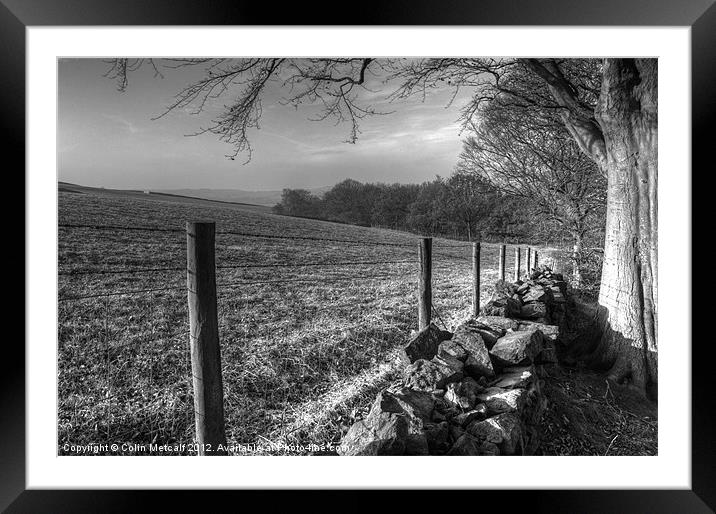 Chevin Dry Stone Wall #1 Mono Framed Mounted Print by Colin Metcalf