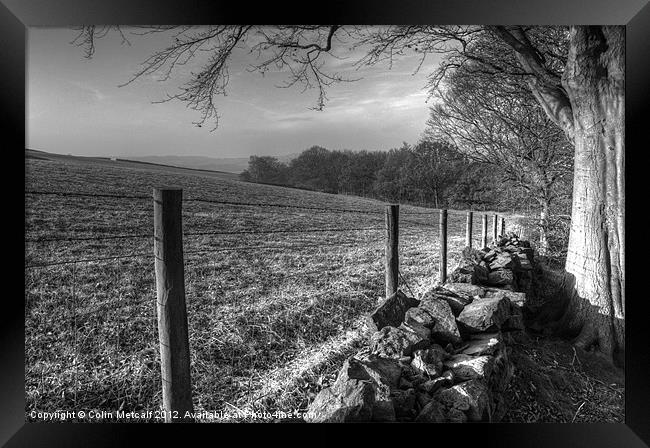 Chevin Dry Stone Wall #1 Mono Framed Print by Colin Metcalf