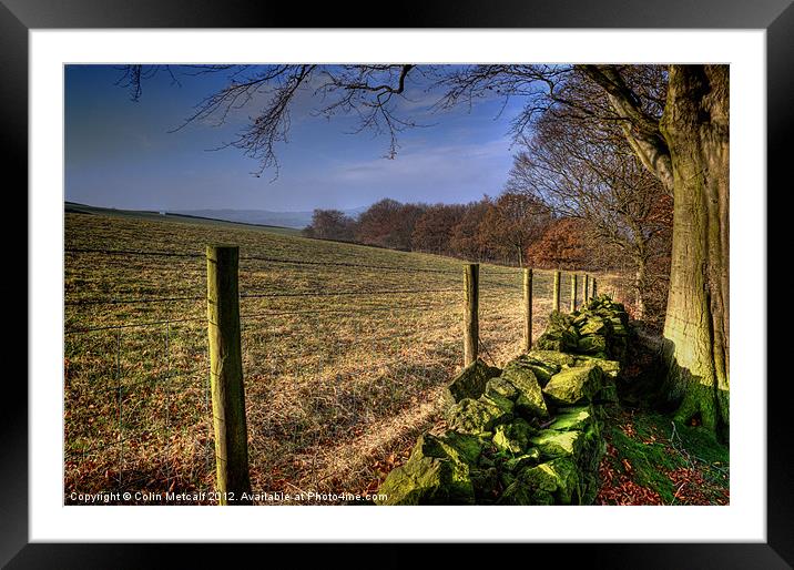 Chevin Dry Stone Wall #1 Framed Mounted Print by Colin Metcalf