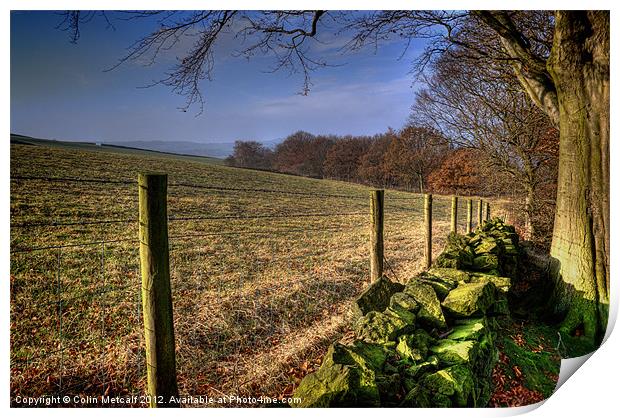 Chevin Dry Stone Wall #1 Print by Colin Metcalf