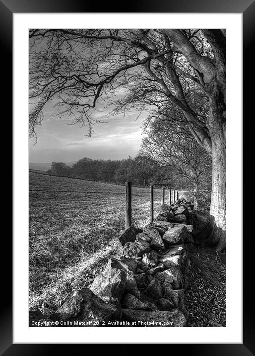 Chevin Dry Stone Wall #2 Mono Framed Mounted Print by Colin Metcalf
