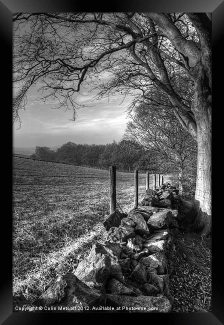 Chevin Dry Stone Wall #2 Mono Framed Print by Colin Metcalf