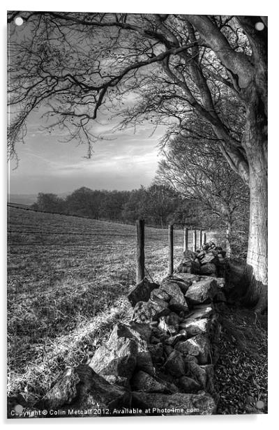 Chevin Dry Stone Wall #2 Mono Acrylic by Colin Metcalf