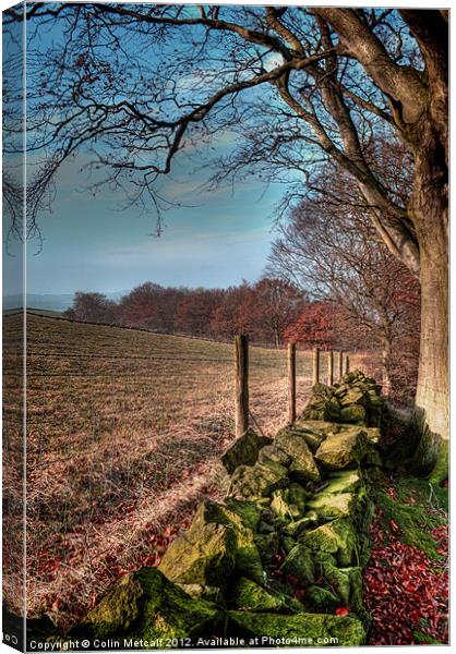 Chevin Dry Stone Wall #2 Canvas Print by Colin Metcalf