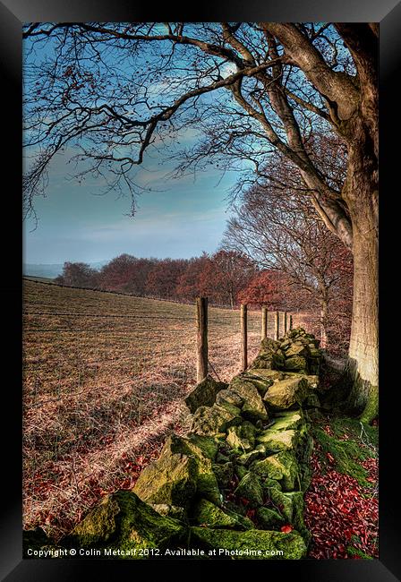 Chevin Dry Stone Wall #2 Framed Print by Colin Metcalf