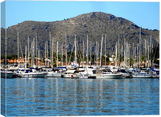 Alcudia Harbour Canvas Print by Tania Ford