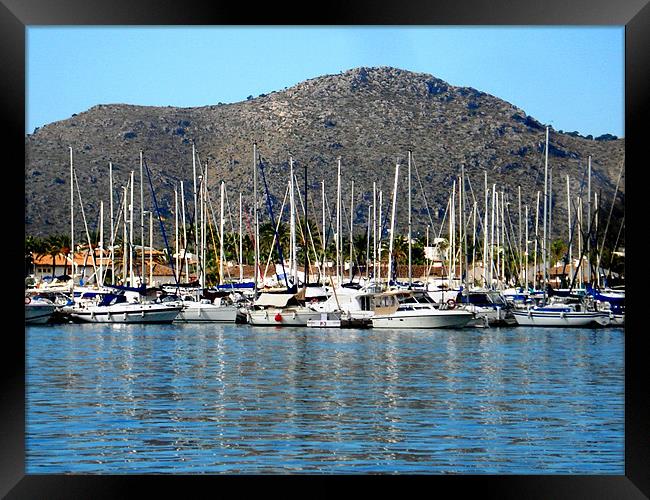 Alcudia Harbour Framed Print by Tania Ford