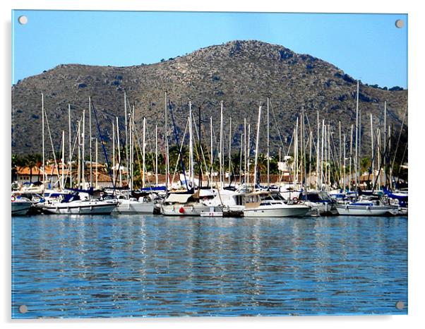 Alcudia Harbour Acrylic by Tania Ford