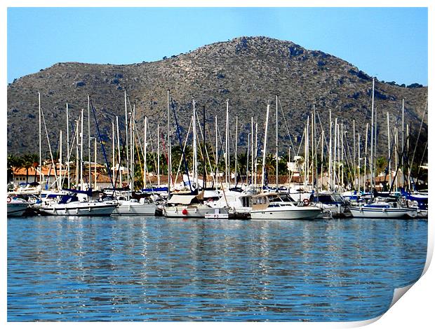 Alcudia Harbour Print by Tania Ford