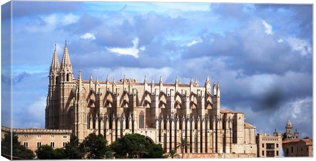 Palma Cathedral Canvas Print by Tania Ford