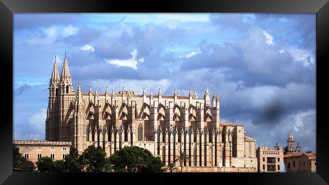 Palma Cathedral Framed Print by Tania Ford