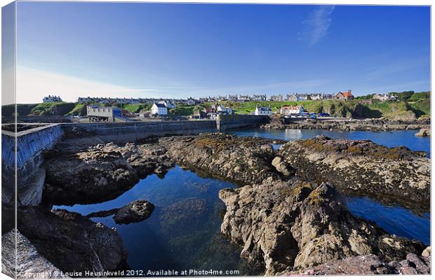 The harbour at St Abbs, Scotland Canvas Print by Louise Heusinkveld