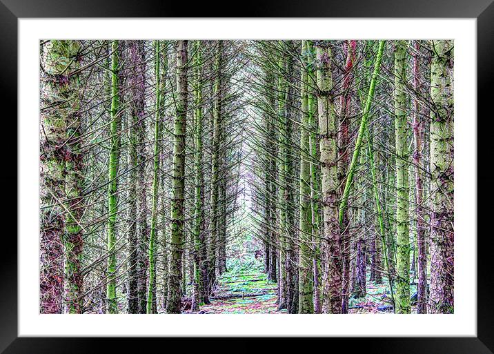 Forest Symmetry Framed Mounted Print by Gavin Wilson