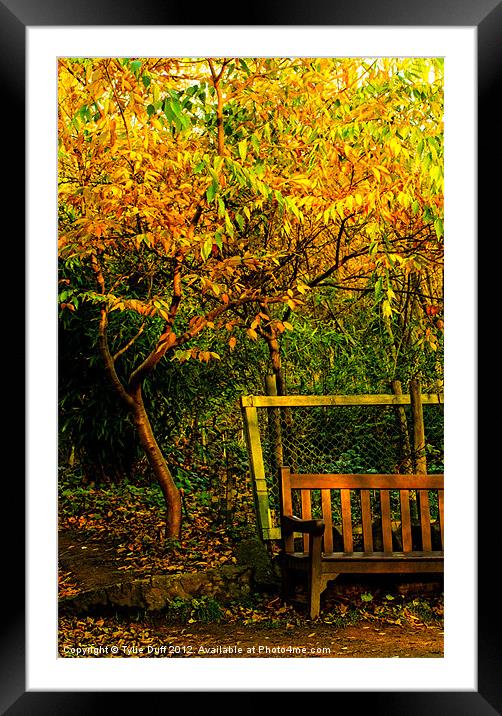 Autumn Leaves in Edinburgh Framed Mounted Print by Tylie Duff Photo Art