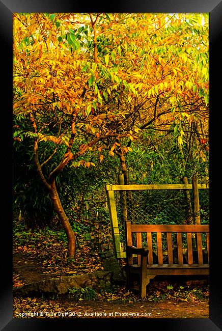 Autumn Leaves in Edinburgh Framed Print by Tylie Duff Photo Art