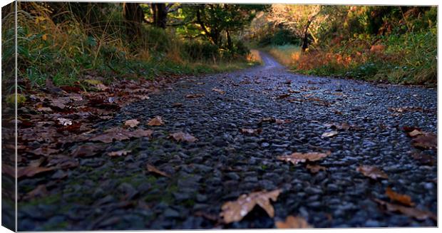 Killarney National Park Canvas Print by barbara walsh