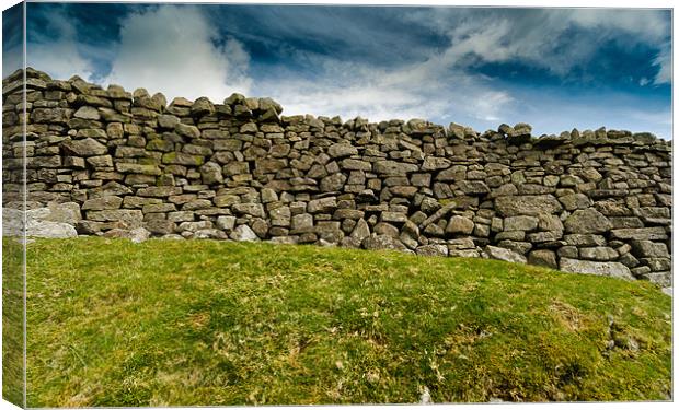 Dry Stone Wall in The Yorkshire Dales Canvas Print by Greg Marshall