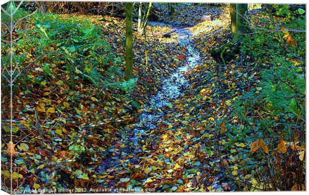 Autumn in The Woods Canvas Print by philip milner