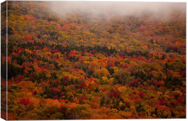 Fall colors in  New Hampshire Canvas Print by Thomas Schaeffer