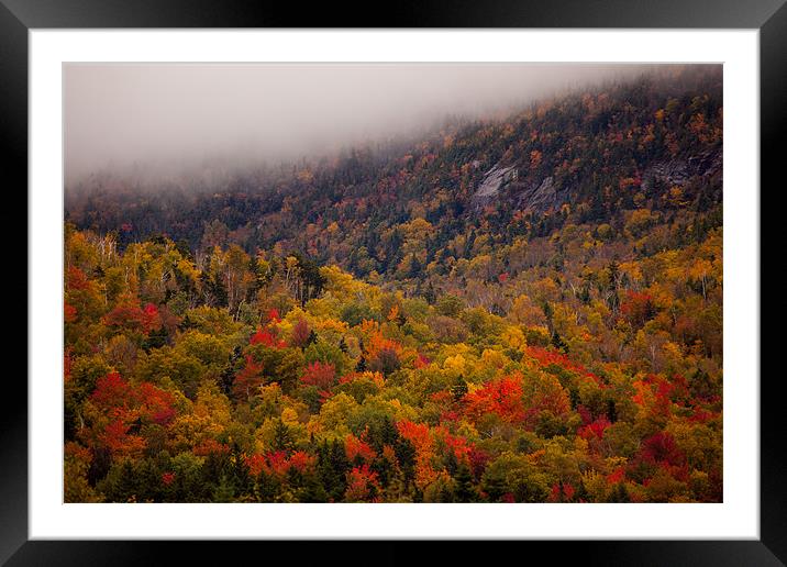 Fall colors in  New Hampshire Framed Mounted Print by Thomas Schaeffer