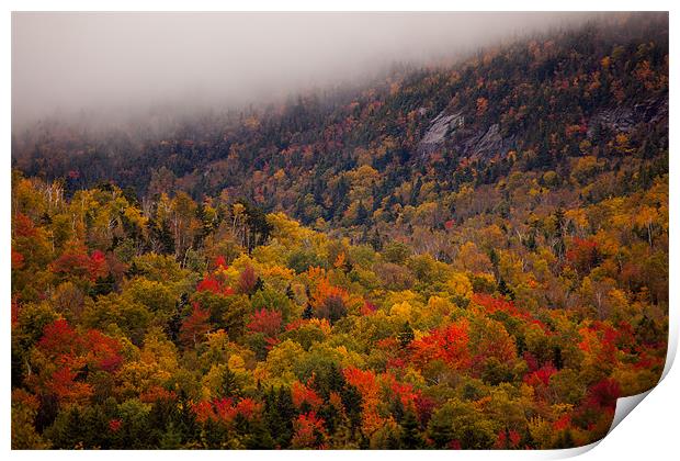 Fall colors in  New Hampshire Print by Thomas Schaeffer