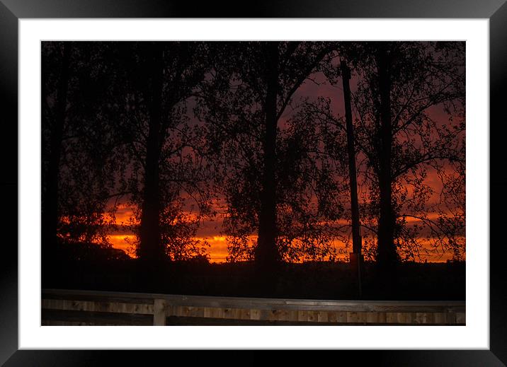 Sunset on the farm Framed Mounted Print by Emmeline Costa-Wagner