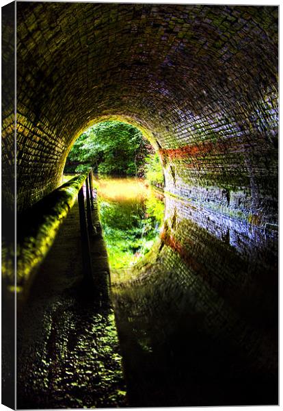 the end of the tunnel Canvas Print by meirion matthias