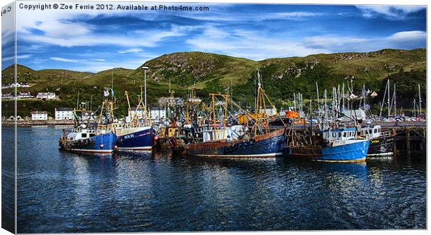 Mallaig Harbour in Scotland Canvas Print by Zoe Ferrie