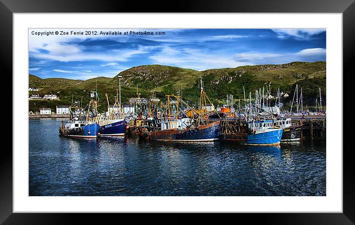 Mallaig Harbour in Scotland Framed Mounted Print by Zoe Ferrie