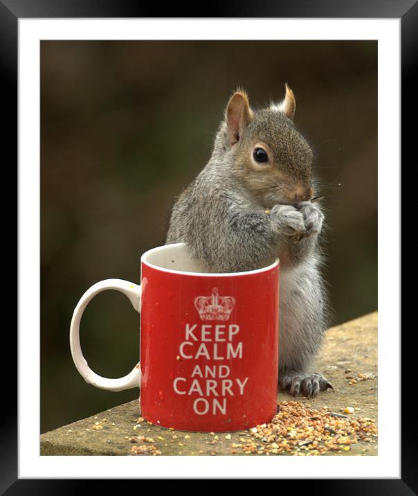 Keep Calm and Nibble Nuts Framed Mounted Print by Brian Fuller