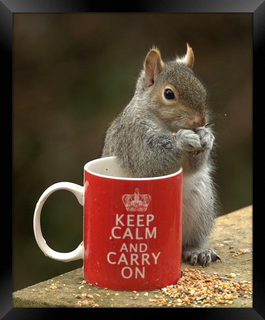 Keep Calm and Nibble Nuts Framed Print by Brian Fuller