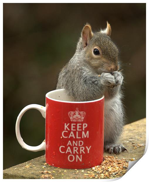 Keep Calm and Nibble Nuts Print by Brian Fuller
