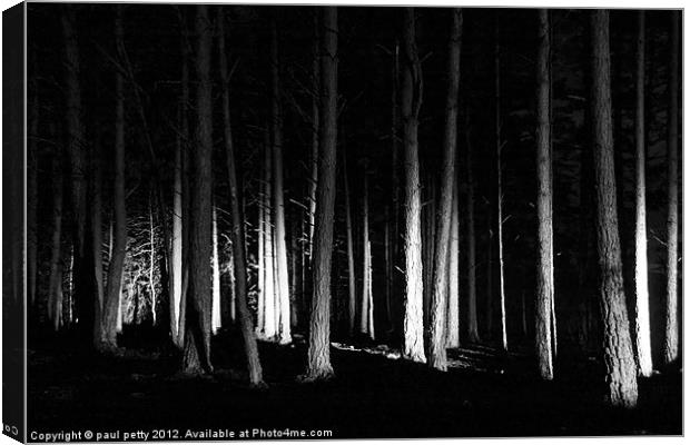 Forest Lights Canvas Print by paul petty