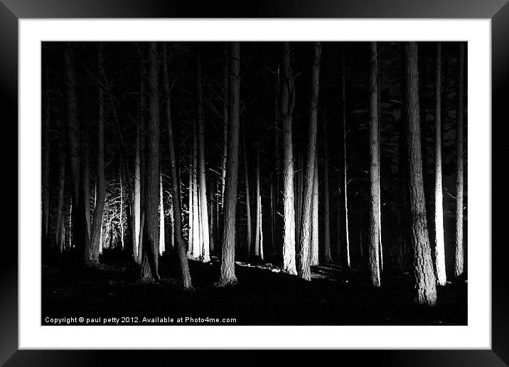 Forest Lights Framed Mounted Print by paul petty