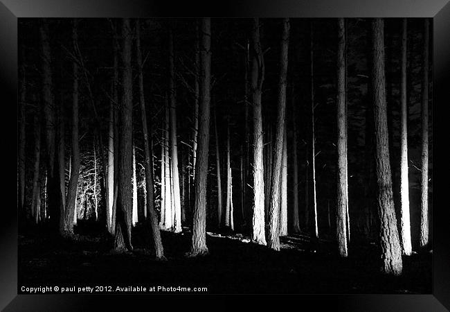 Forest Lights Framed Print by paul petty