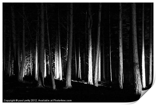 Forest Lights Print by paul petty
