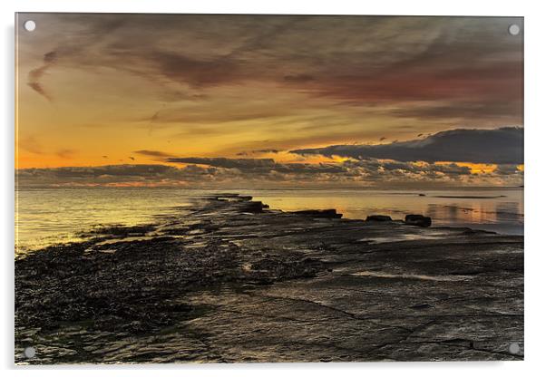 Dancing Ledge Kimmeridge Acrylic by Jennie Franklin