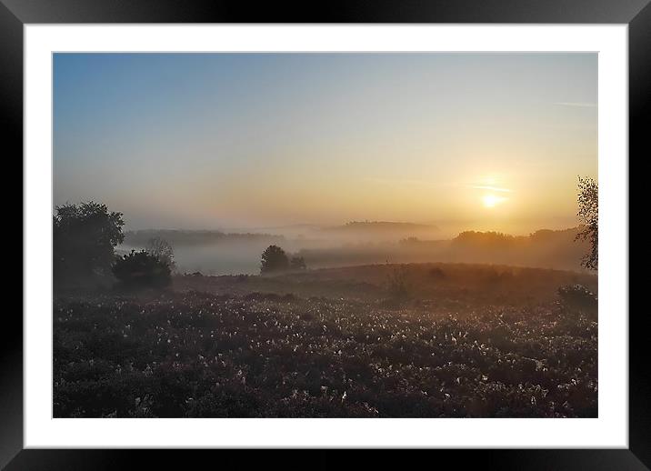 Dawning of a New Day Framed Mounted Print by Mark  F Banks