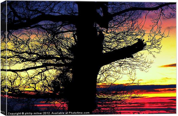 Winter Silhouette Sunrise Canvas Print by philip milner