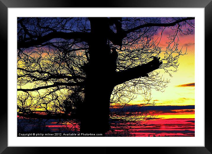 Winter Silhouette Sunrise Framed Mounted Print by philip milner