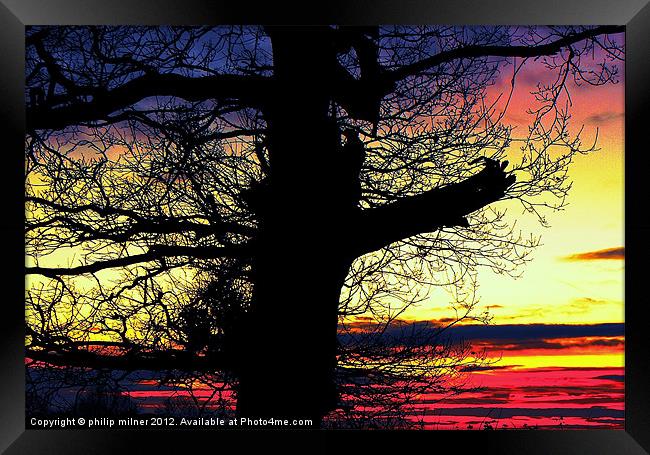 Winter Silhouette Sunrise Framed Print by philip milner