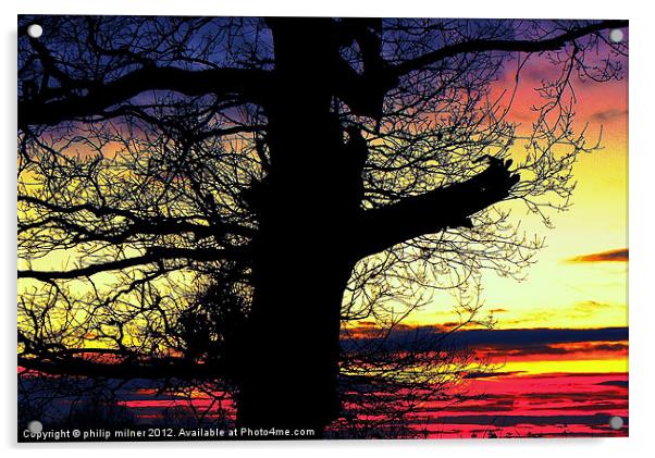 Winter Silhouette Sunrise Acrylic by philip milner