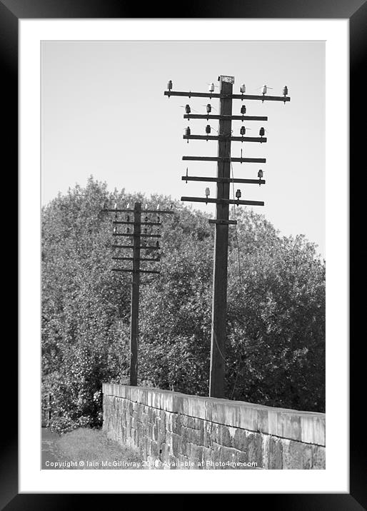 Telegraph Poles Framed Mounted Print by Iain McGillivray